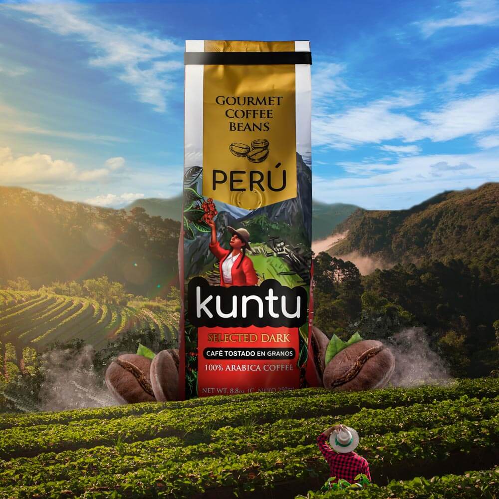 Peruvian Gourmet Coffee Beans - Bag 8.8 OZ