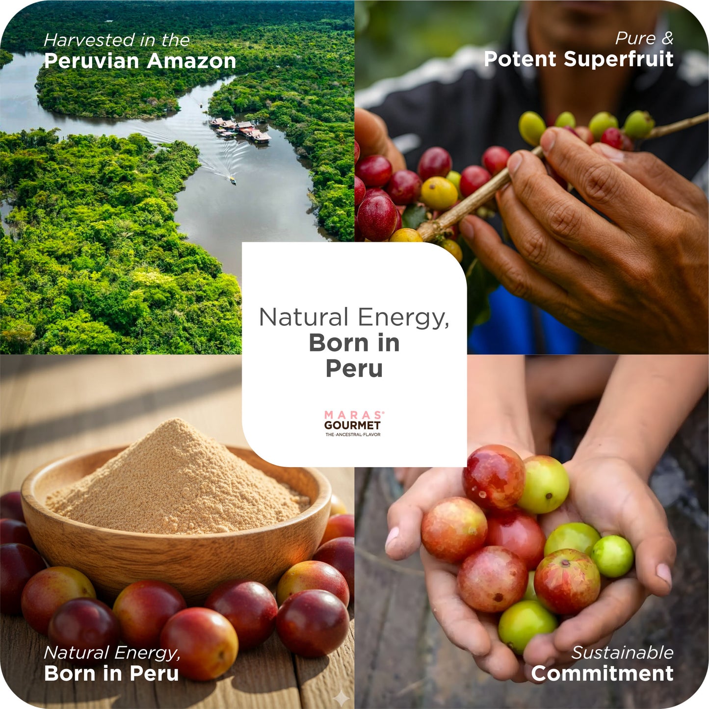 Organic Camu Camu Powder - Paper Bag 6.0 oz