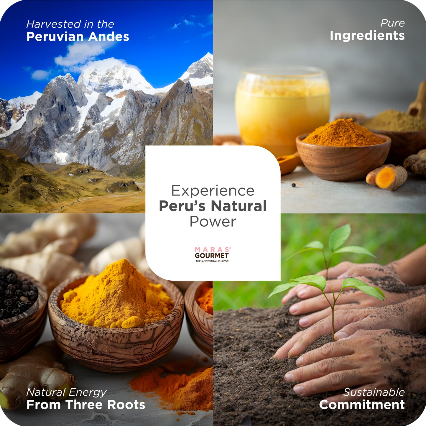 Turmeric with Ginger and Black Pepper Powder - Paper Bag 8.0 oz