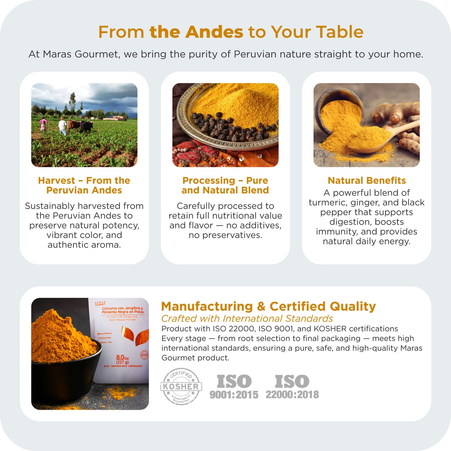 Turmeric with Ginger and Black Pepper Powder - Paper Bag 8.0 oz